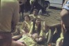 Vastse-Kuuste 1972 ...